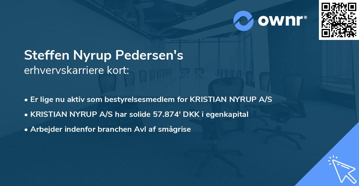 Steffen Nyrup Pedersen's erhvervskarriere kort