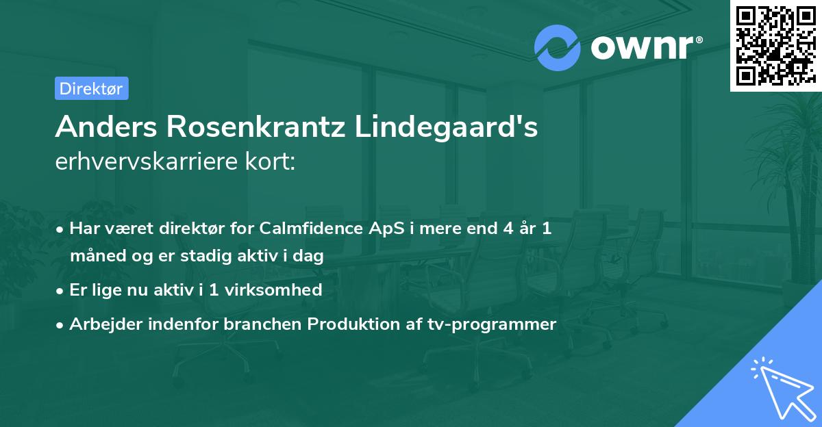 Anders Rosenkrantz Lindegaard's erhvervskarriere kort