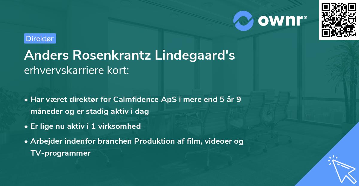 Anders Rosenkrantz Lindegaard's erhvervskarriere kort