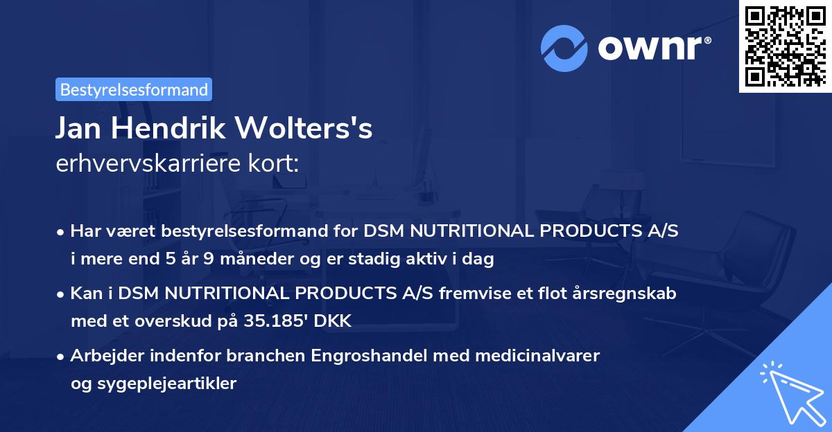 Jan Hendrik Wolters's erhvervskarriere kort