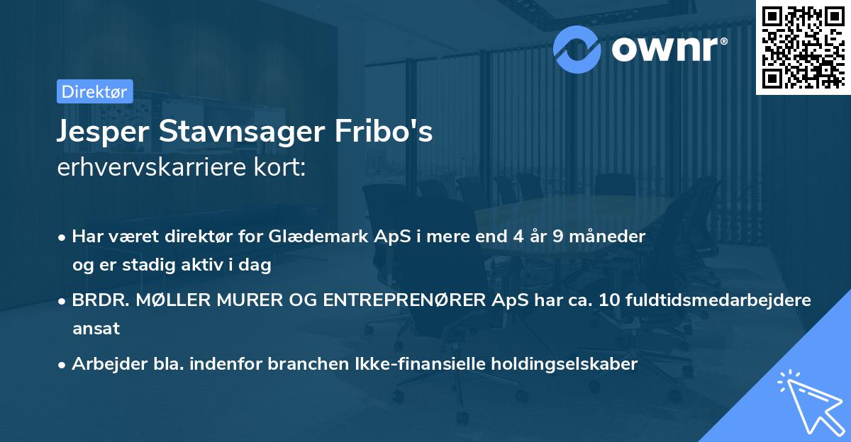 Jesper Stavnsager Fribo's erhvervskarriere kort
