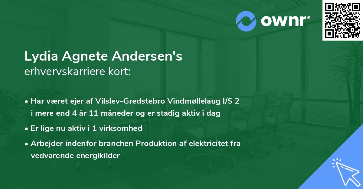 Lydia Agnete Andersen's erhvervskarriere kort