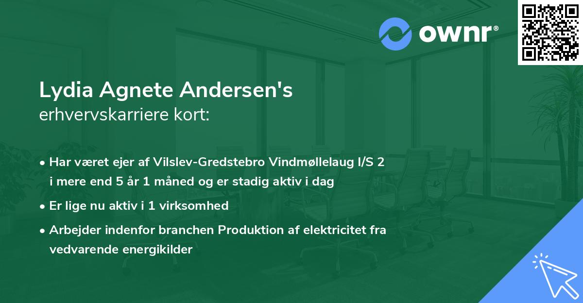 Lydia Agnete Andersen's erhvervskarriere kort