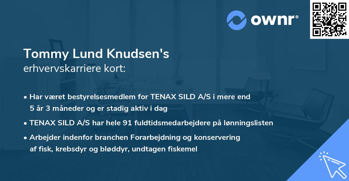 Tommy Lund Knudsen's erhvervskarriere kort