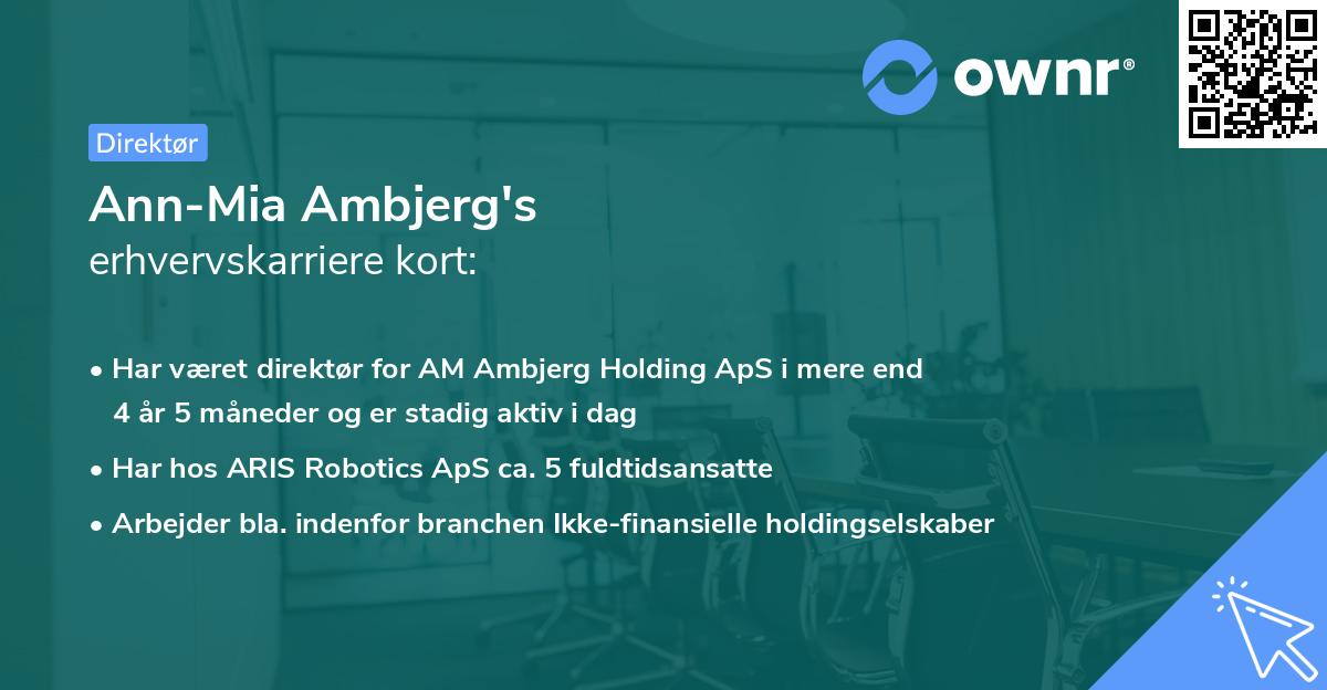 Ann-Mia Ambjerg's erhvervskarriere kort
