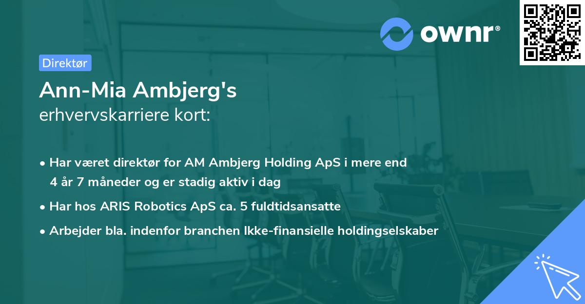 Ann-Mia Ambjerg's erhvervskarriere kort
