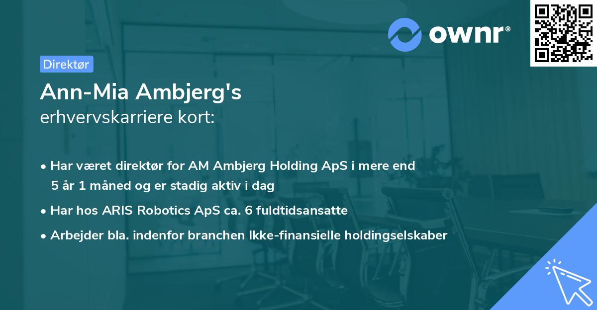 Ann-Mia Ambjerg's erhvervskarriere kort