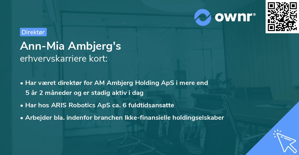 Ann-Mia Ambjerg's erhvervskarriere kort