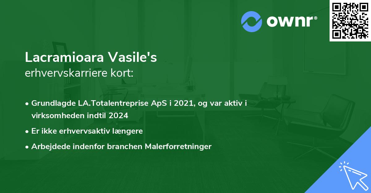 Lacramioara Vasile's erhvervskarriere kort