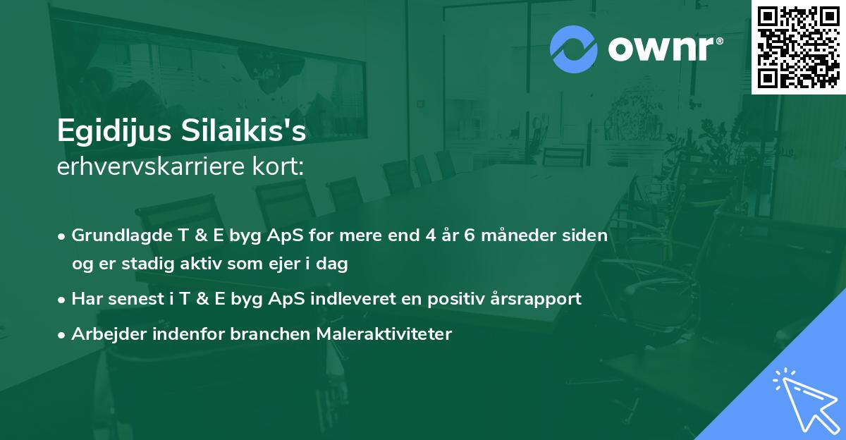 Egidijus Silaikis's erhvervskarriere kort