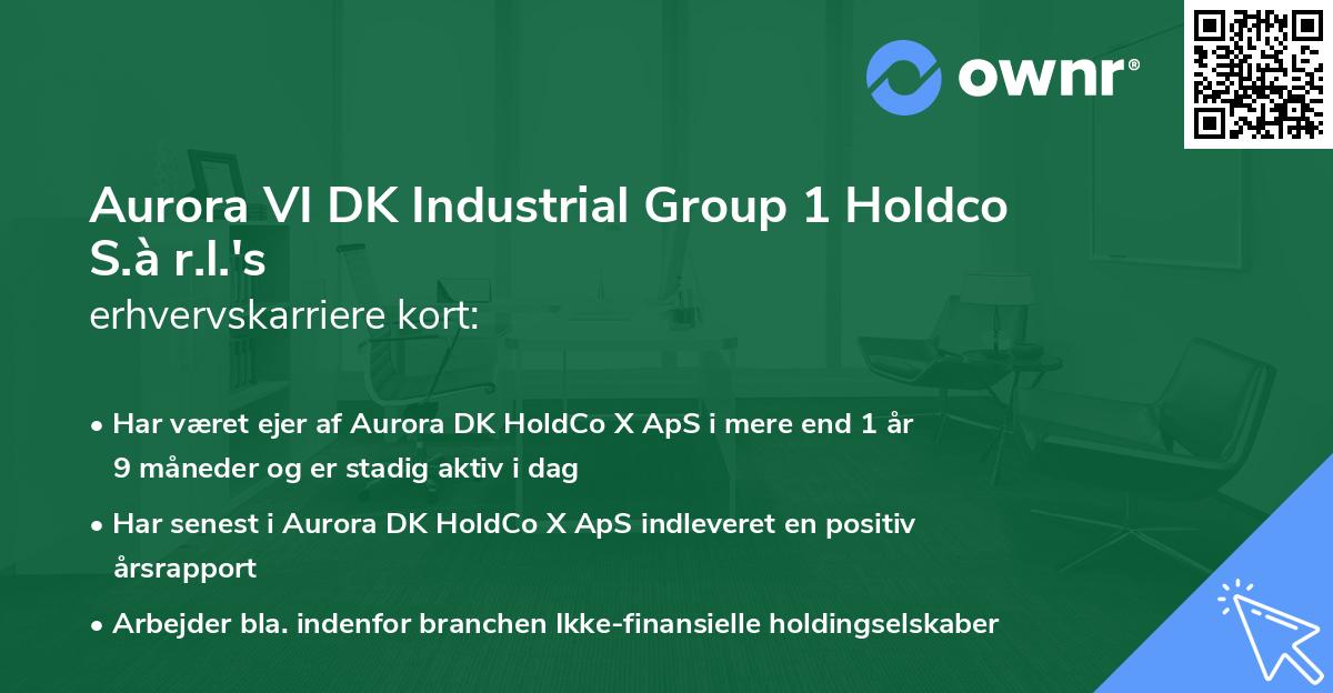 Aurora VI DK Industrial Group 1 Holdco S.à r.l.'s erhvervskarriere kort