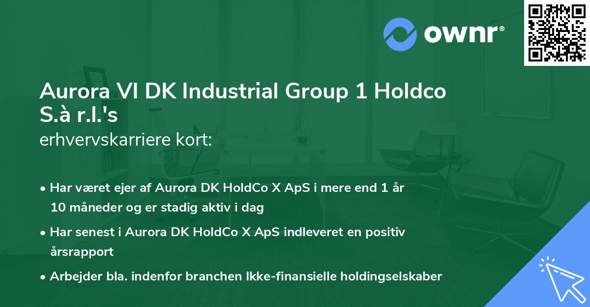 Aurora VI DK Industrial Group 1 Holdco S.à r.l.'s erhvervskarriere kort