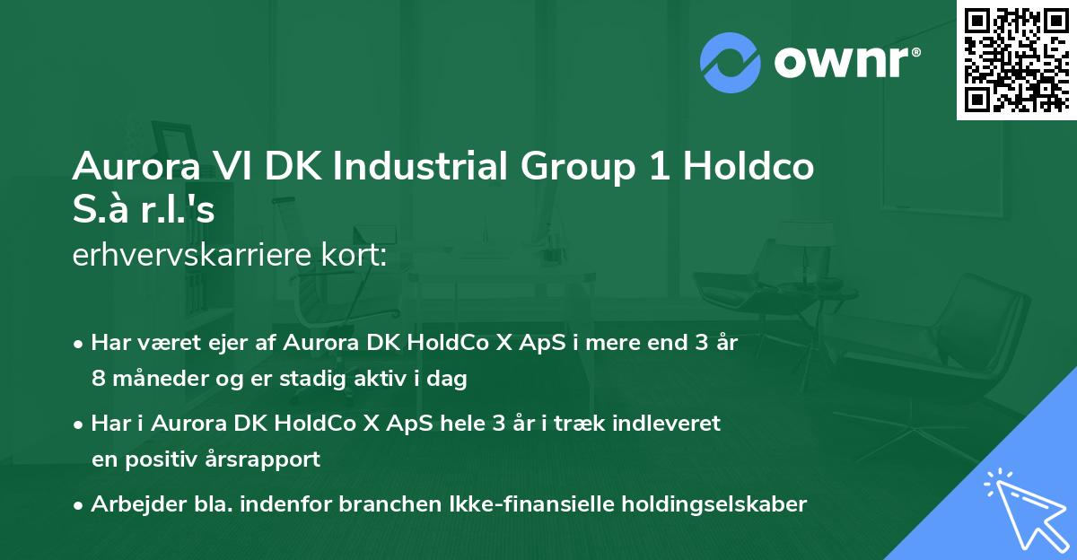 Aurora VI DK Industrial Group 1 Holdco S.à r.l.'s erhvervskarriere kort