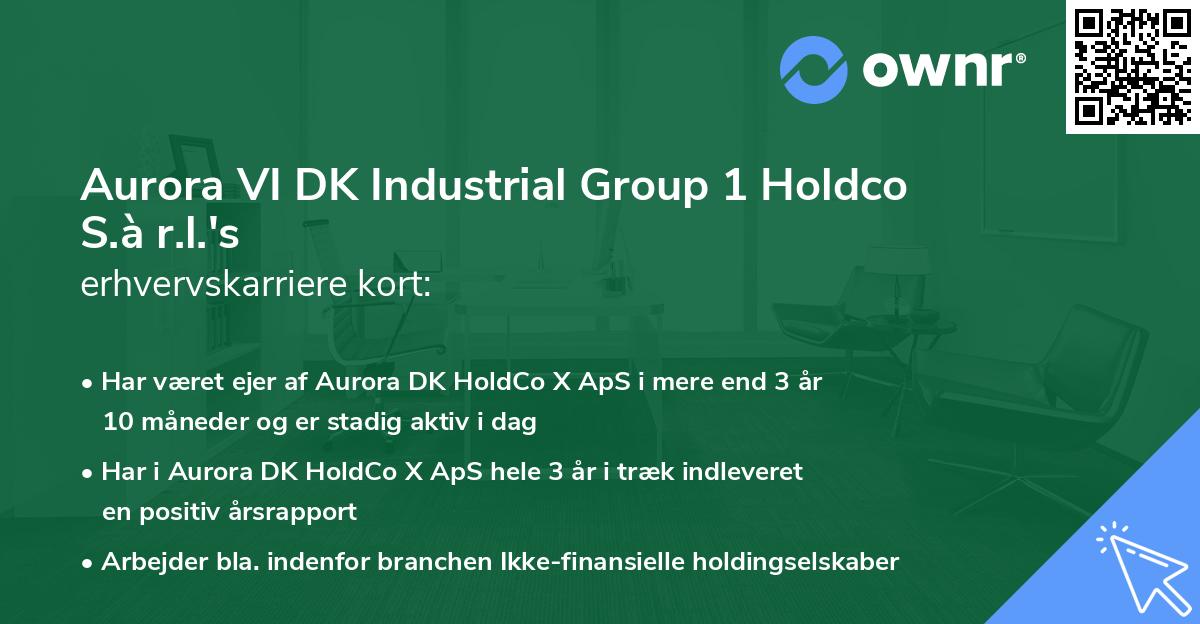 Aurora VI DK Industrial Group 1 Holdco S.à r.l.'s erhvervskarriere kort