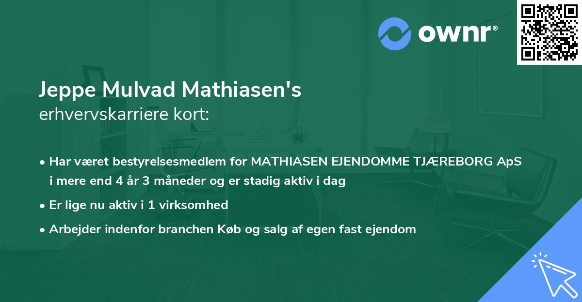Jeppe Mulvad Mathiasen's erhvervskarriere kort