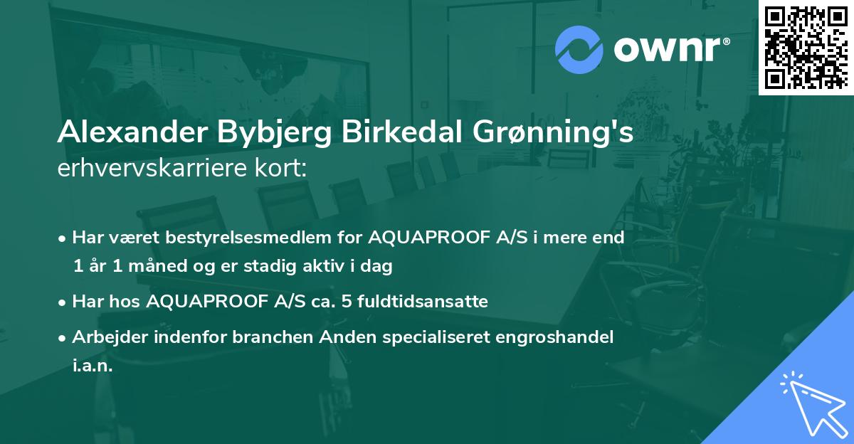 Alexander Bybjerg Birkedal Grønning's erhvervskarriere kort