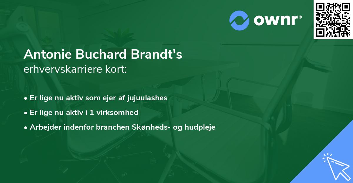 Antonie Buchard Brandt's erhvervskarriere kort