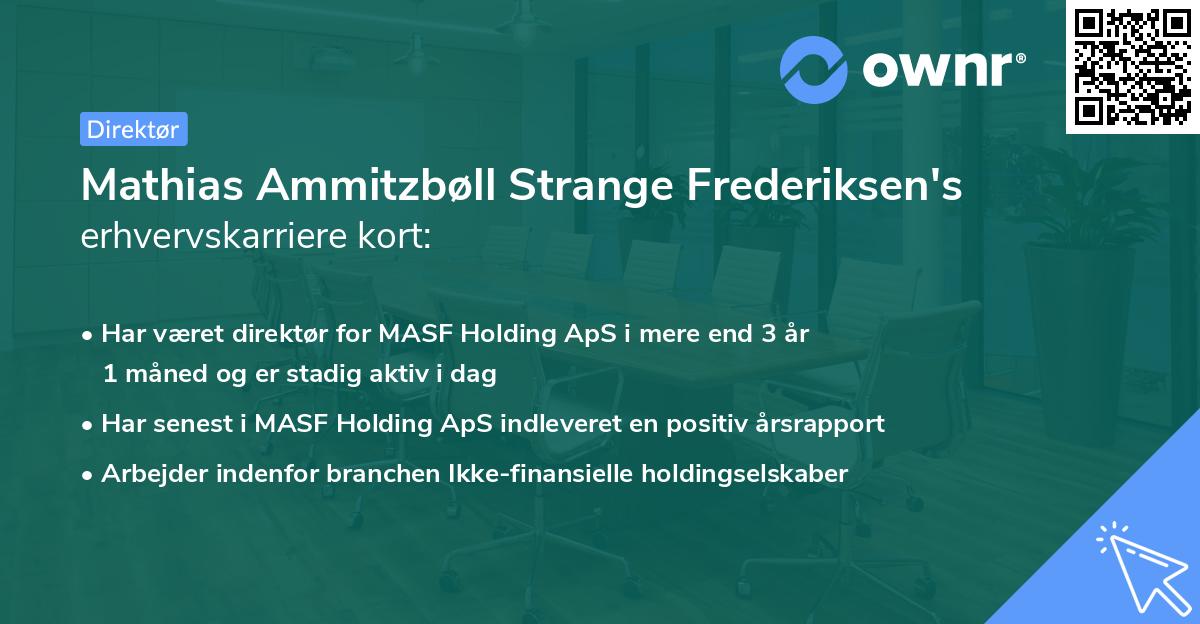 Mathias Ammitzbøll Strange Frederiksen's erhvervskarriere kort