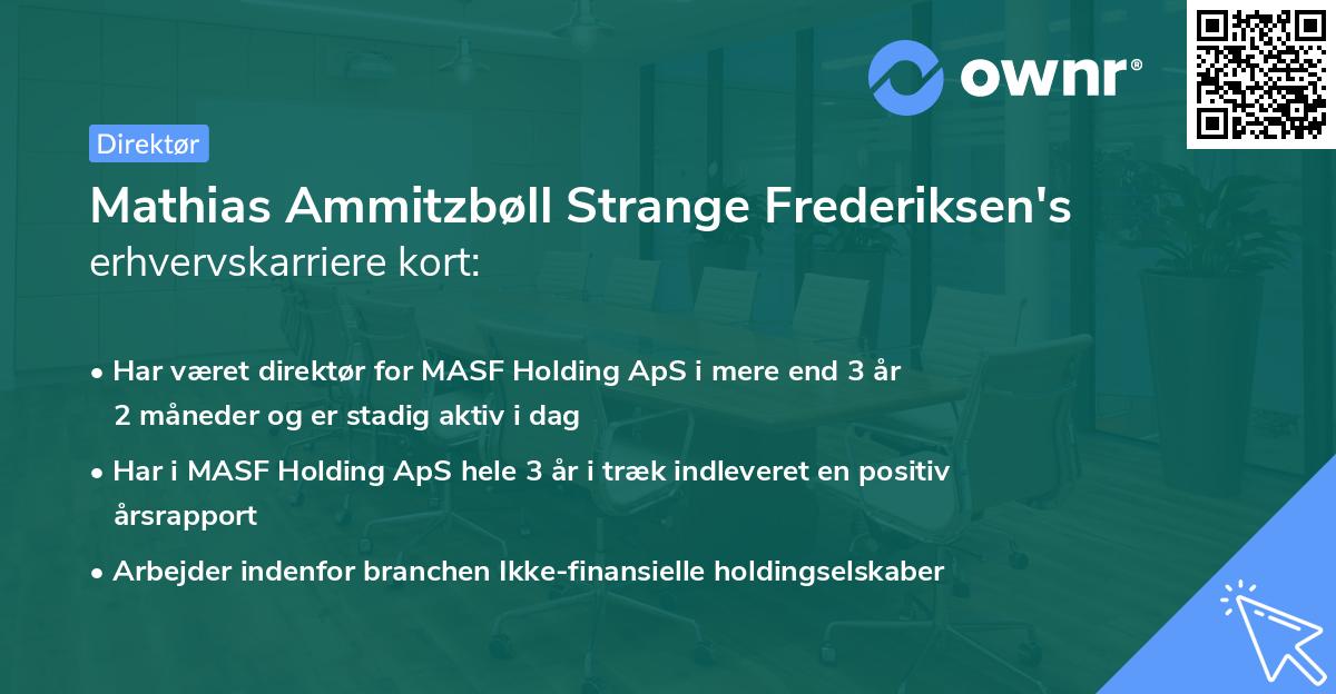 Mathias Ammitzbøll Strange Frederiksen's erhvervskarriere kort