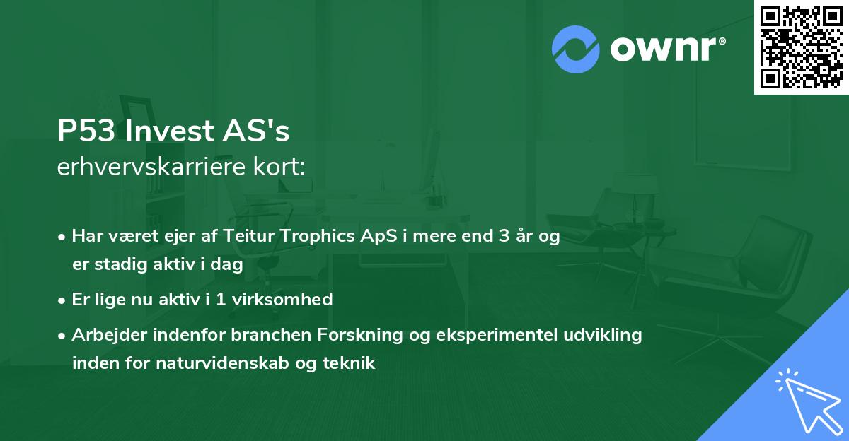 P53 Invest AS's erhvervskarriere kort