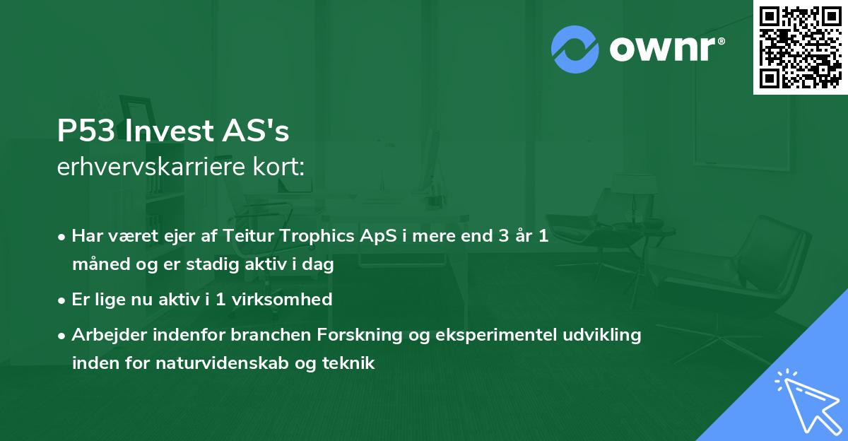 P53 Invest AS's erhvervskarriere kort