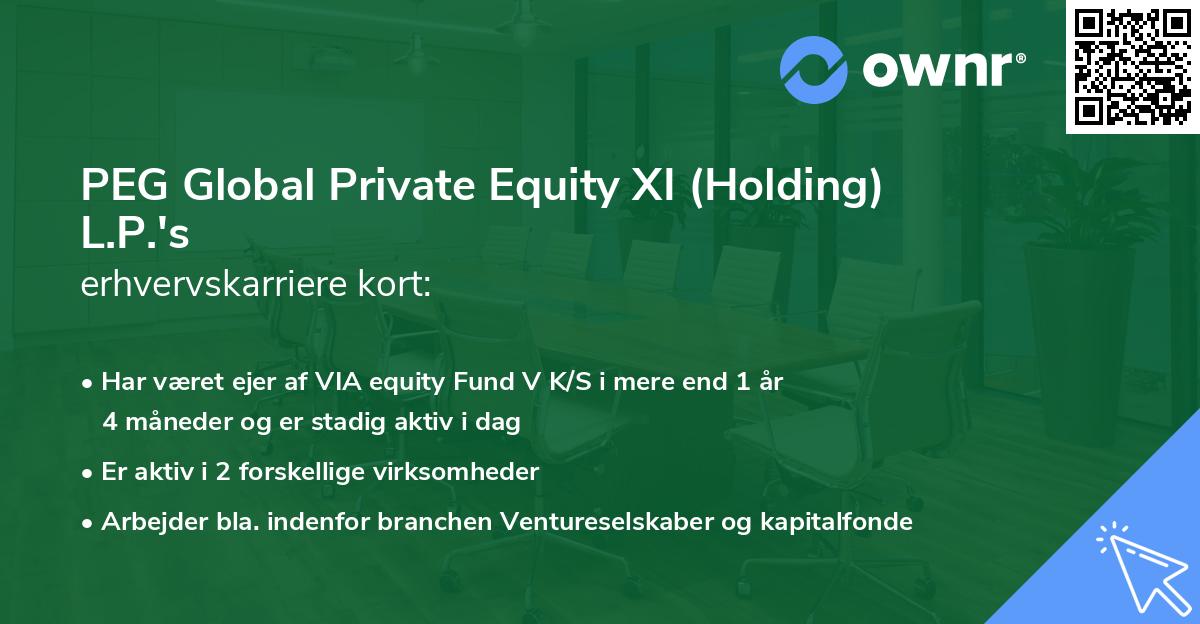 PEG Global Private Equity XI (Holding) L.P.'s erhvervskarriere kort