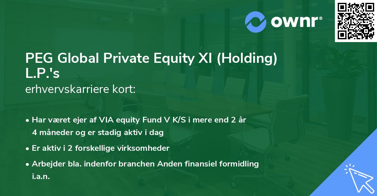PEG Global Private Equity XI (Holding) L.P.'s erhvervskarriere kort
