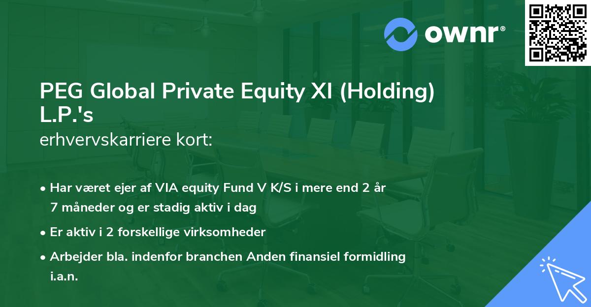 PEG Global Private Equity XI (Holding) L.P.'s erhvervskarriere kort