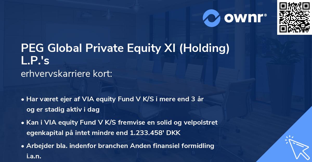 PEG Global Private Equity XI (Holding) L.P.'s erhvervskarriere kort