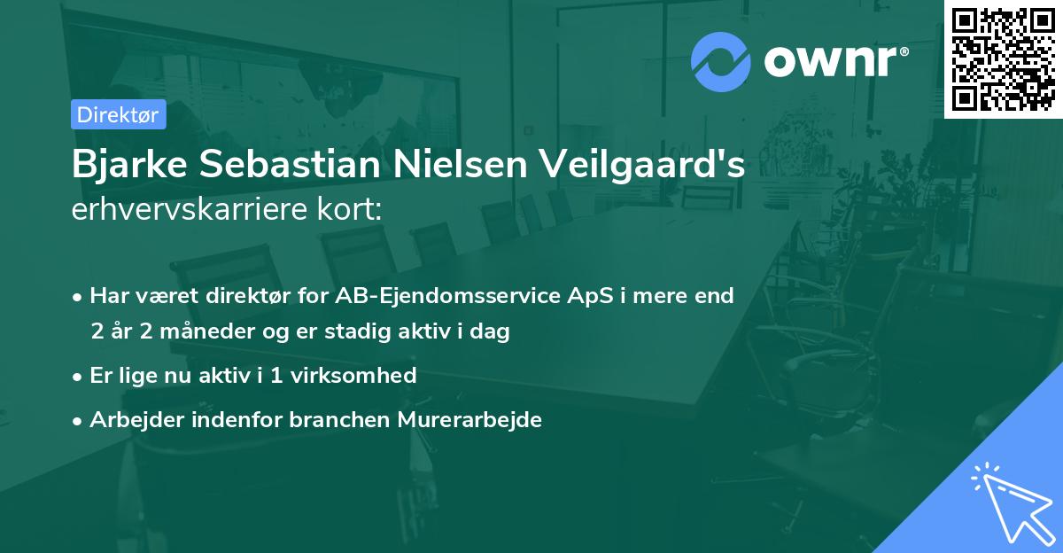 Bjarke Sebastian Nielsen Veilgaard's erhvervskarriere kort