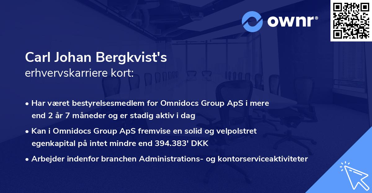 Carl Johan Bergkvist's erhvervskarriere kort