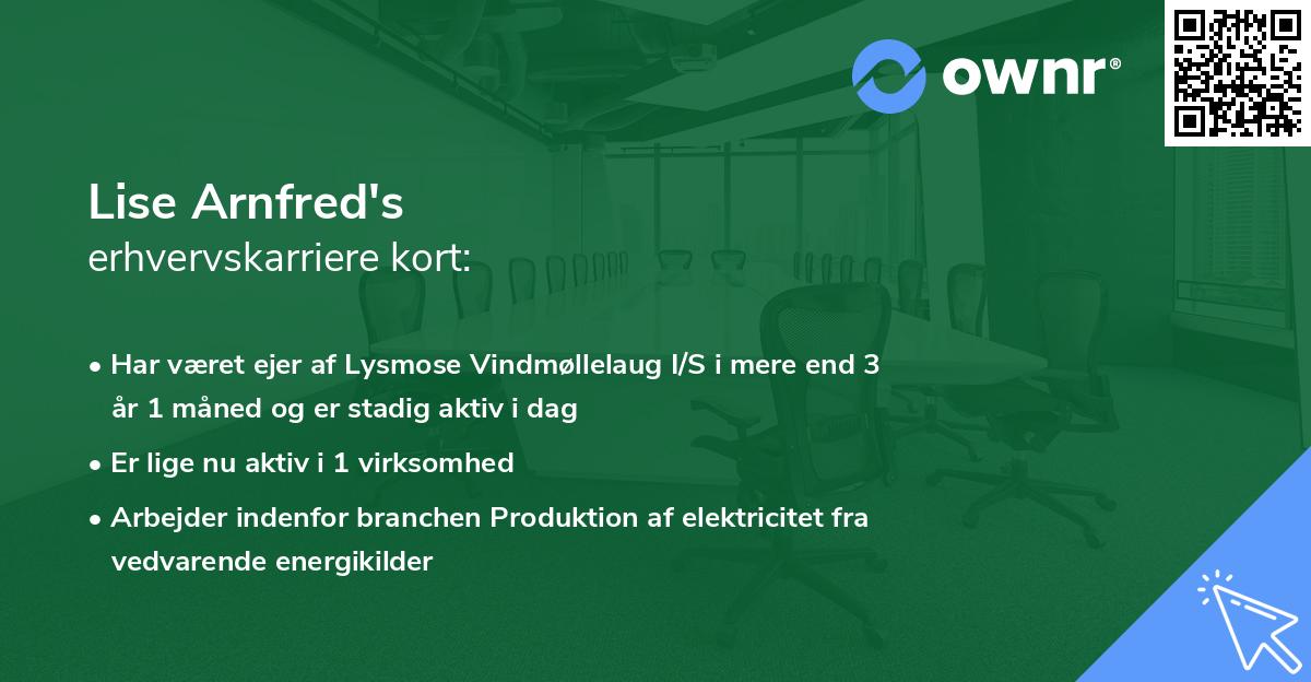 Lise Arnfred's erhvervskarriere kort
