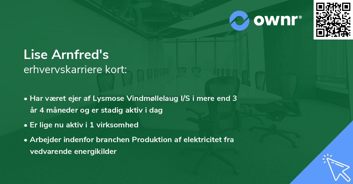 Lise Arnfred's erhvervskarriere kort