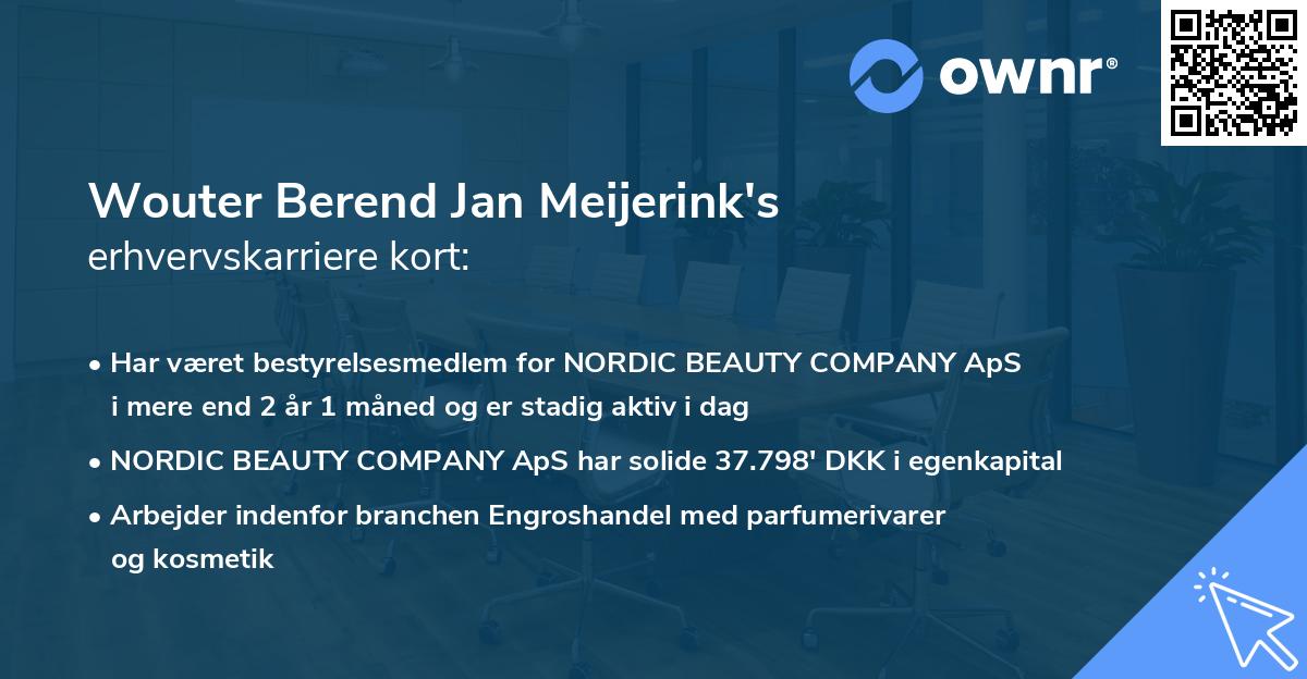 Wouter Berend Jan Meijerink's erhvervskarriere kort