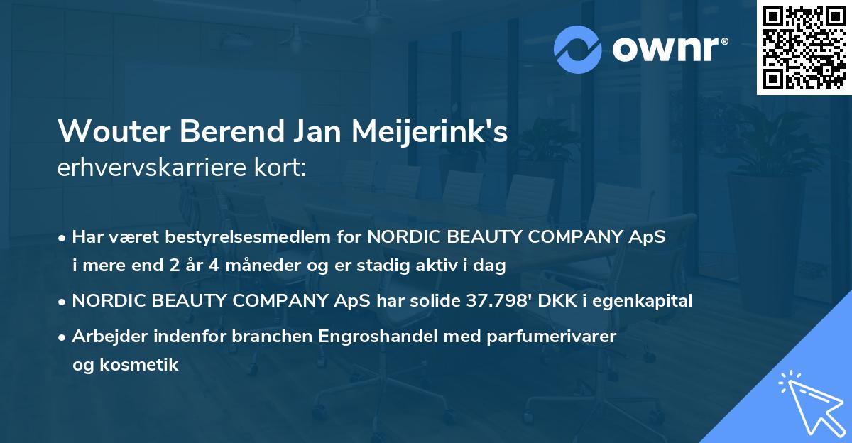 Wouter Berend Jan Meijerink's erhvervskarriere kort