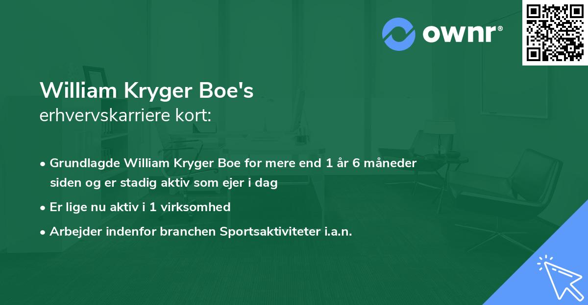 William Kryger Boe's erhvervskarriere kort