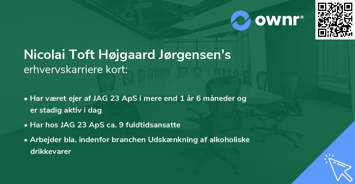 Nicolai Toft Højgaard Jørgensen's erhvervskarriere kort