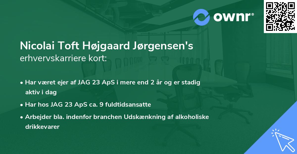 Nicolai Toft Højgaard Jørgensen's erhvervskarriere kort