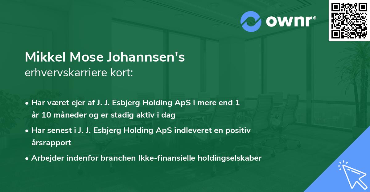 Mikkel Mose Johannsen's erhvervskarriere kort