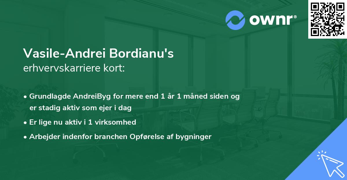 Vasile-Andrei Bordianu's erhvervskarriere kort