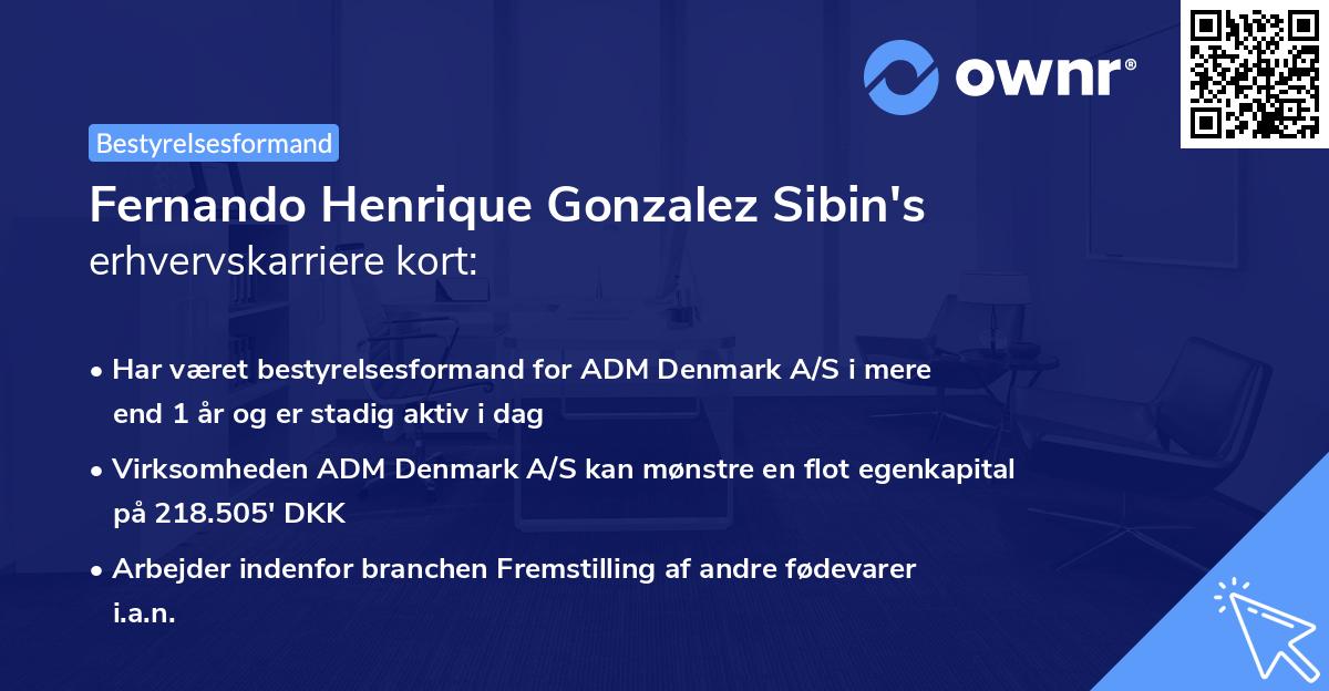Fernando Henrique Gonzalez Sibin's erhvervskarriere kort