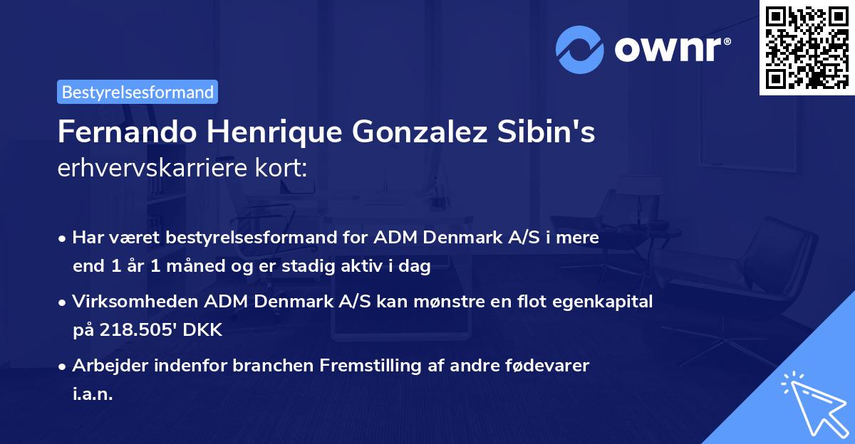 Fernando Henrique Gonzalez Sibin's erhvervskarriere kort