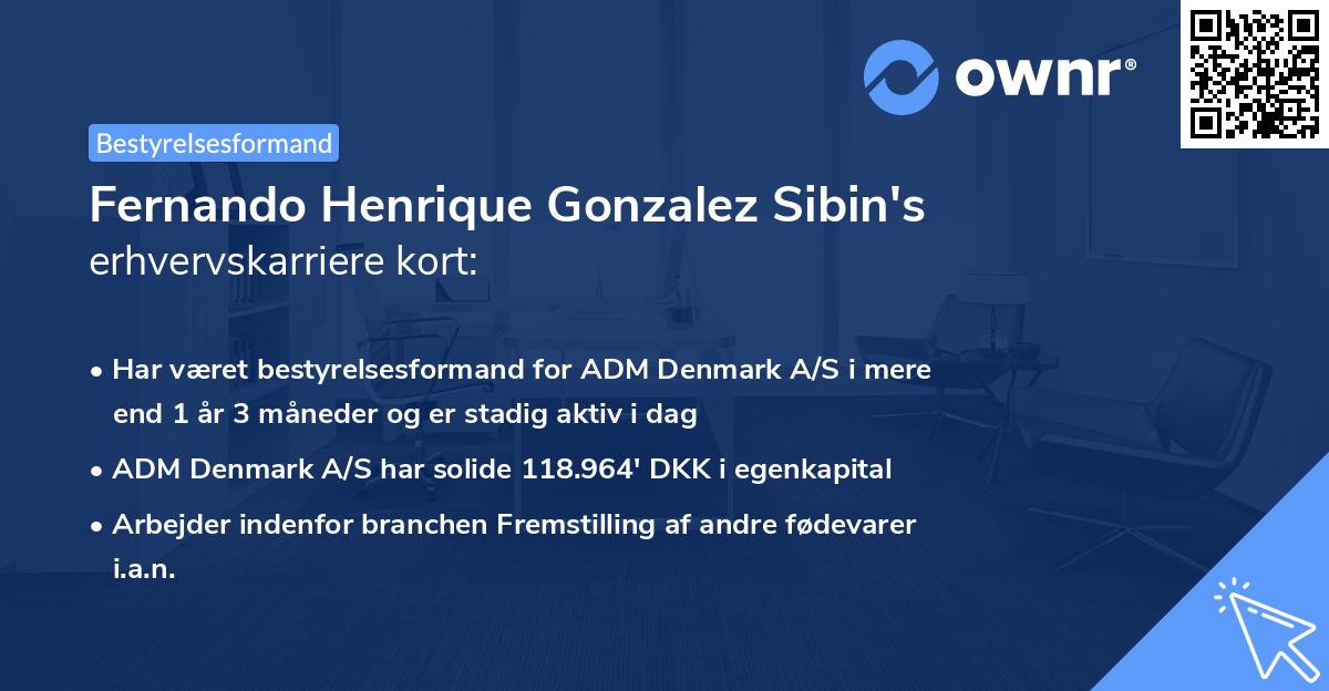 Fernando Henrique Gonzalez Sibin's erhvervskarriere kort