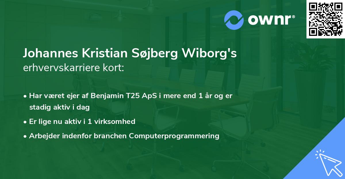 Johannes Kristian Søjberg Wiborg's erhvervskarriere kort