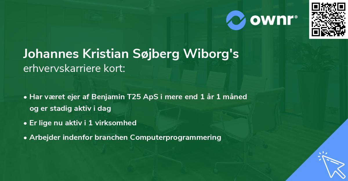 Johannes Kristian Søjberg Wiborg's erhvervskarriere kort