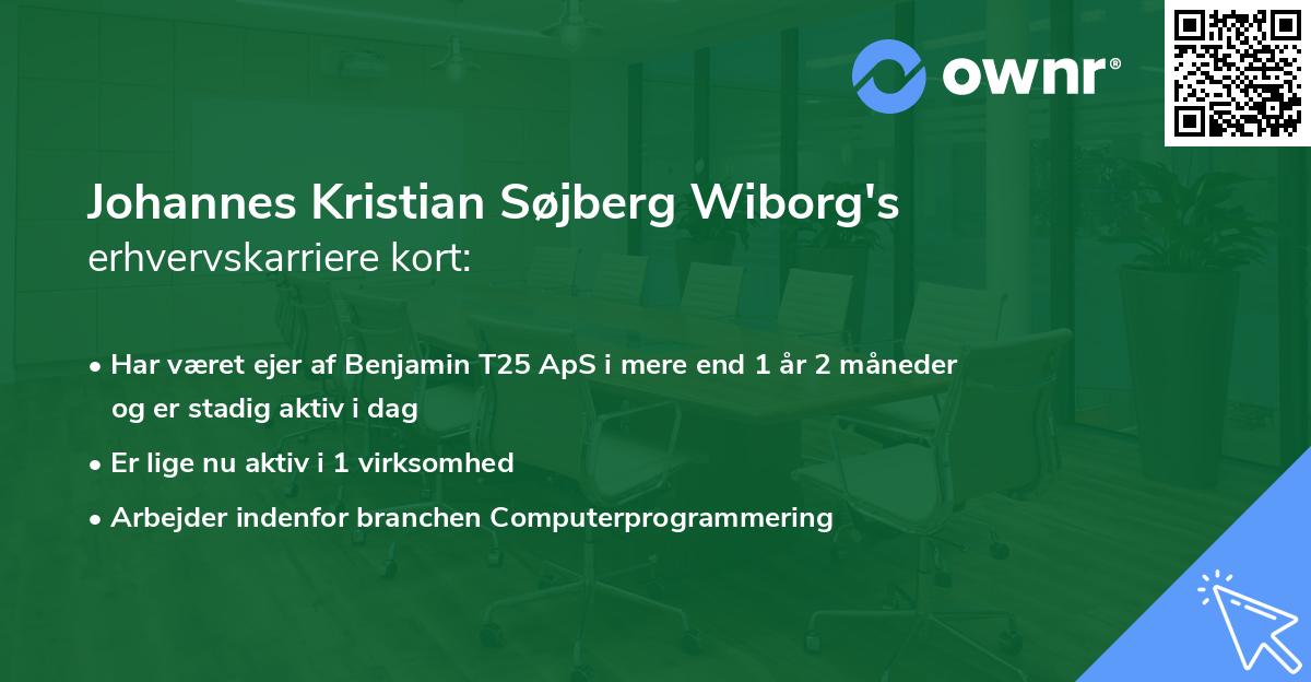 Johannes Kristian Søjberg Wiborg's erhvervskarriere kort