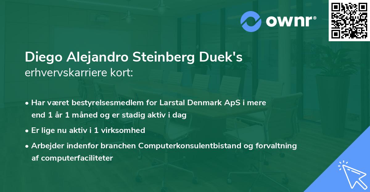 Diego Alejandro Steinberg Duek's erhvervskarriere kort