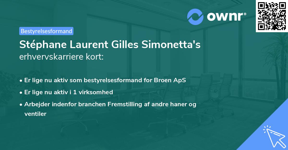 Stéphane Laurent Gilles Simonetta's erhvervskarriere kort