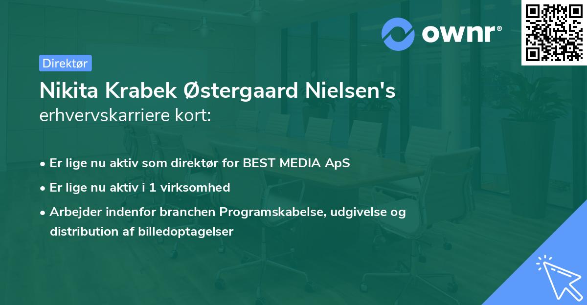 Nikita Krabek Østergaard Nielsen's erhvervskarriere kort