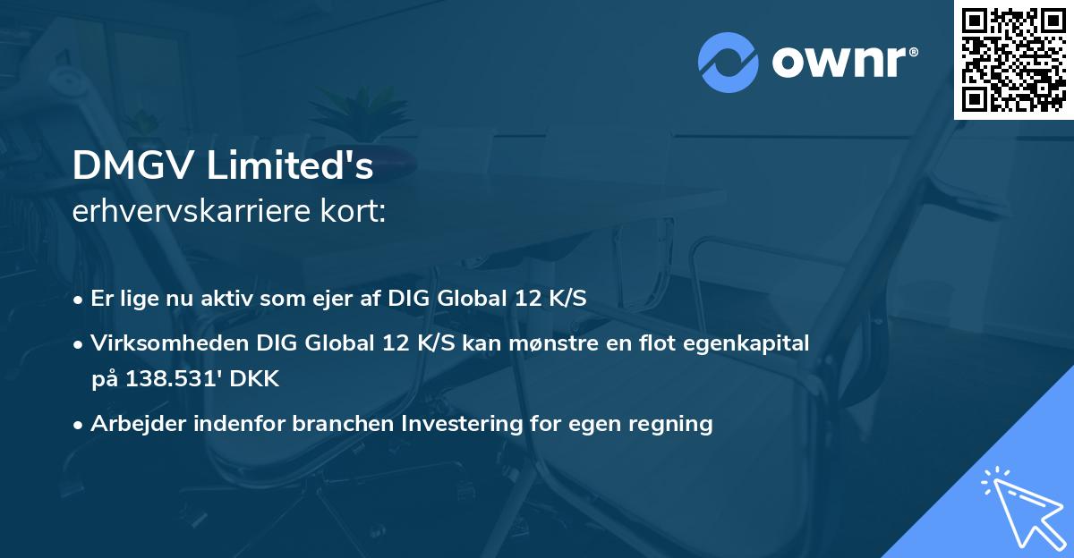 DMGV Limited's erhvervskarriere kort